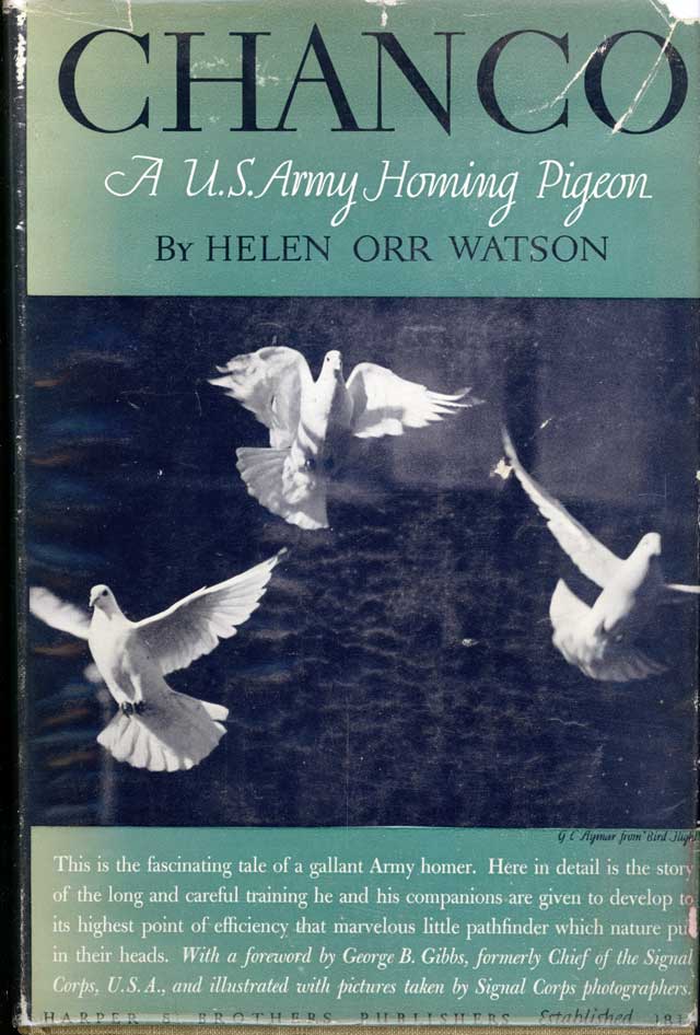 book's cover.