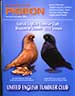 Book cover, click for larger image in new window. Magazine cover, click for larger image in new window.