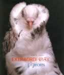 book's cover.