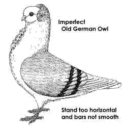 This Old German Owl stands too horizontal.