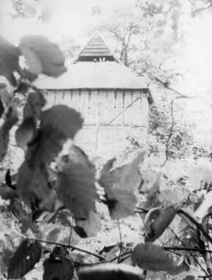 dovecote