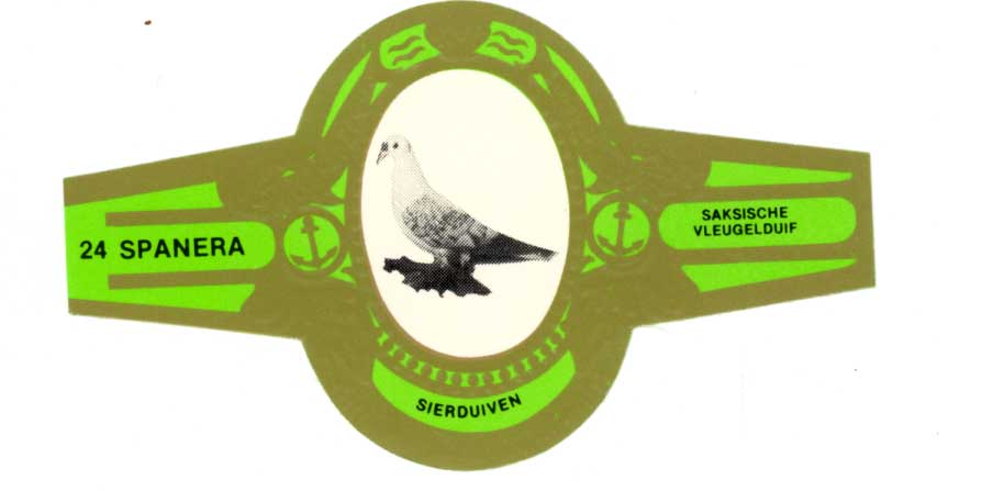 Spanera green