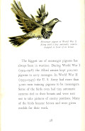 Click for larger image
