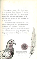 Click for larger image