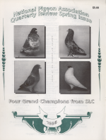 Book cover, click for larger image in new window.