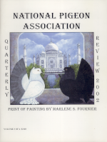 Book cover, click for larger image in new window.