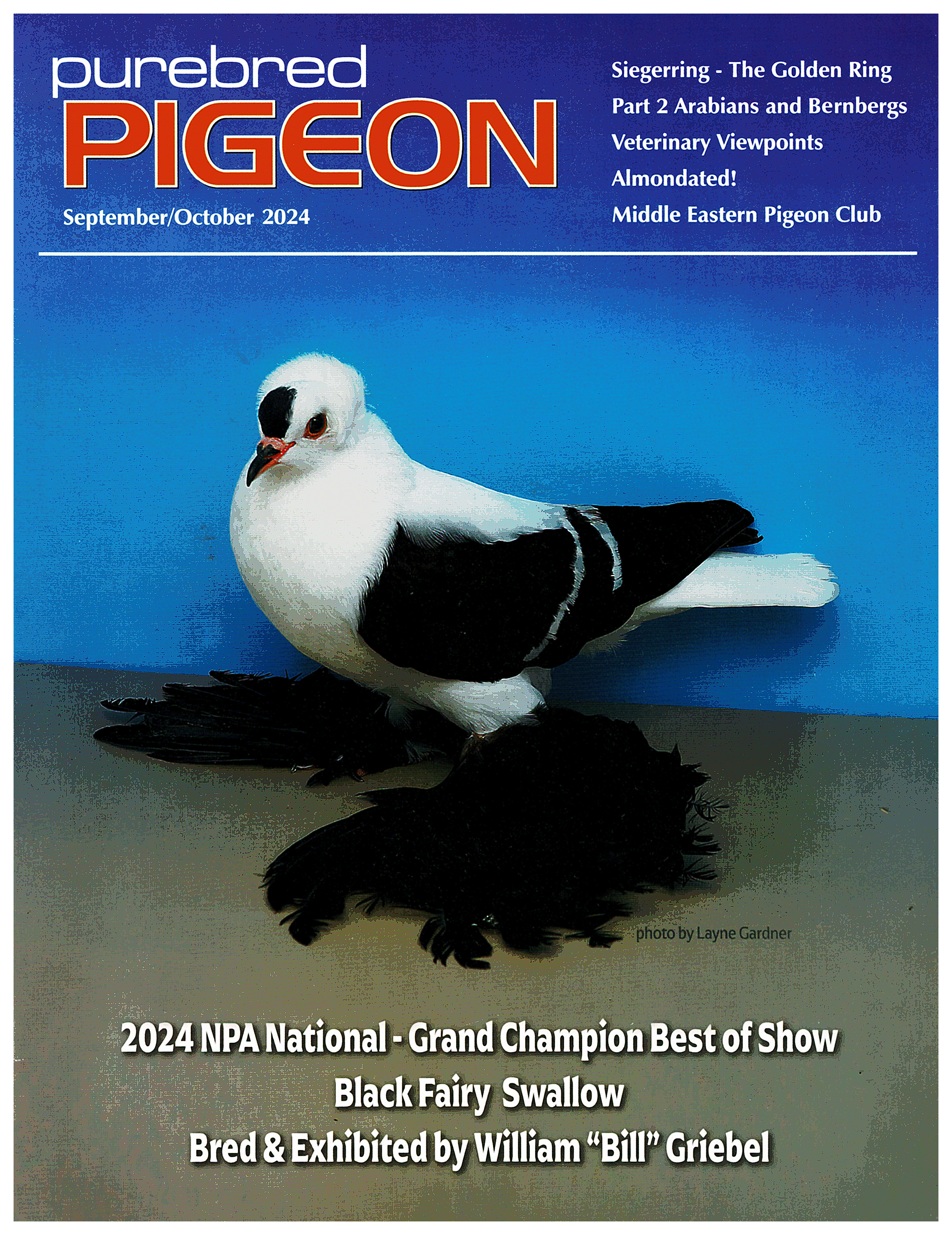 Click for larger image