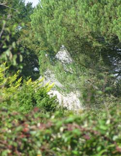 Tremohar dovecote, click for a larger image in new window.