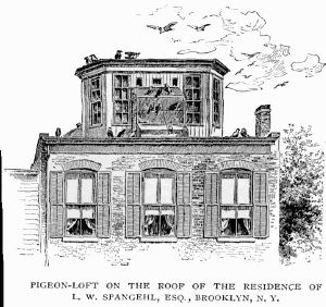 Military lofts