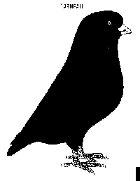 image of Caneua