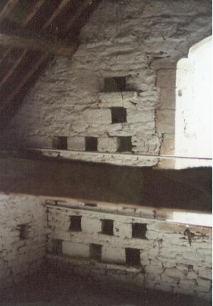 Elksonte interior