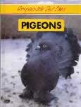 book's cover. 