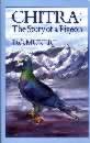 book jacket