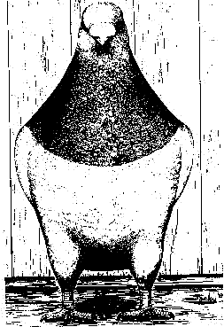image of giant homer