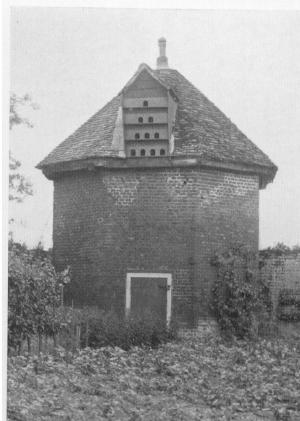 hampsire