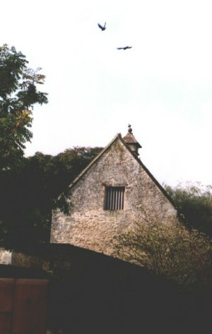 Kelsmot image