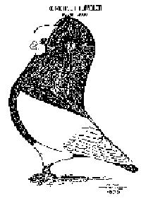 image marked