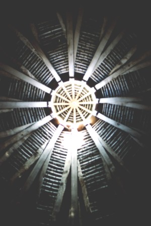 Lovell dovecot interior roof