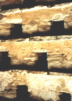 Lovell dovecote interior nestboxes