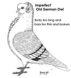 This bird is just a little too long.