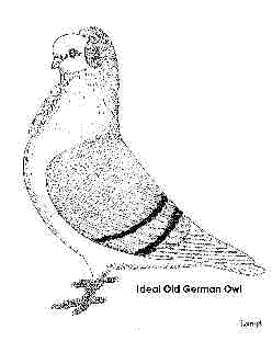 The ideal drawing.