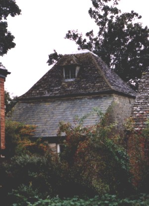stanton image