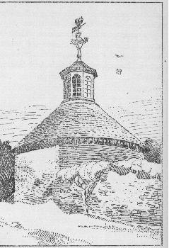 Cupula