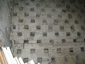 Trotton nest boxes
