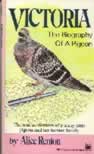 book jacket