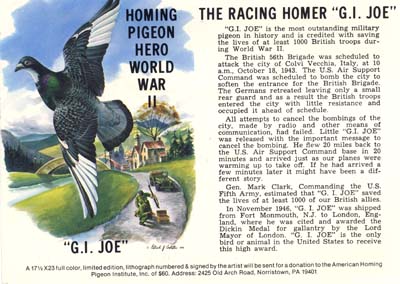 GI JOE