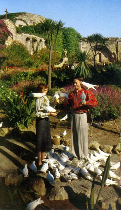 Feeding pigeons