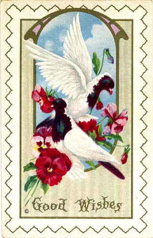 Nun pigeon brining good wishes