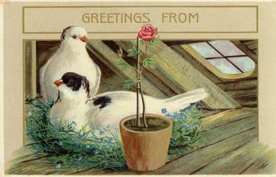 rose greetings